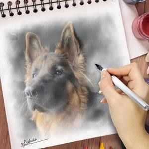 Meet your Posher, Astrid